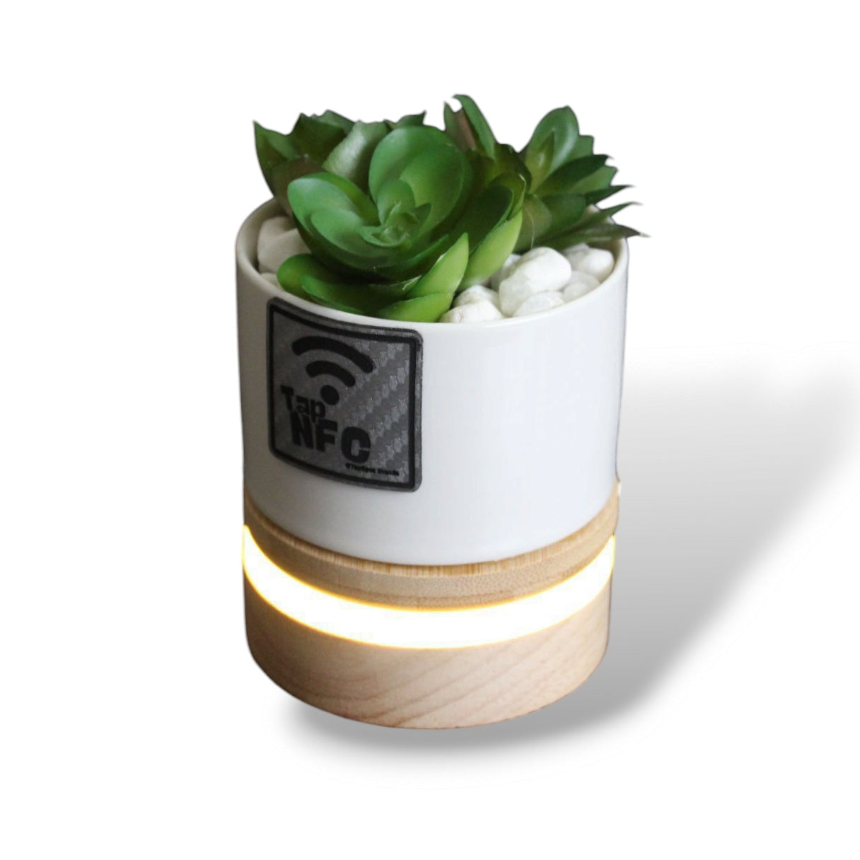 TapSpot Aura – NFC Smart Cactus Stand with USB Glowing Base