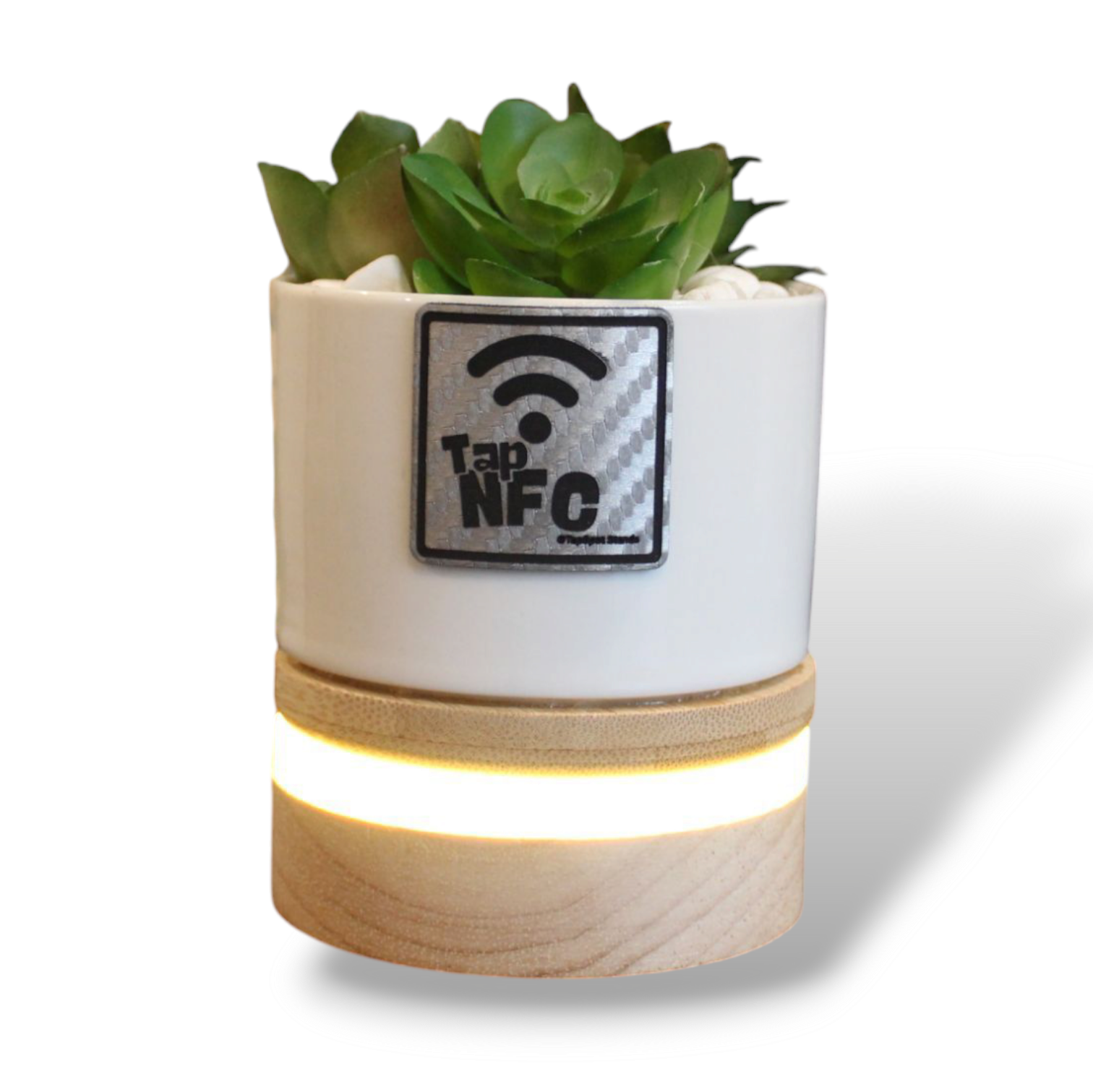 TapSpot Aura – NFC Smart Cactus Stand with USB Glowing Base