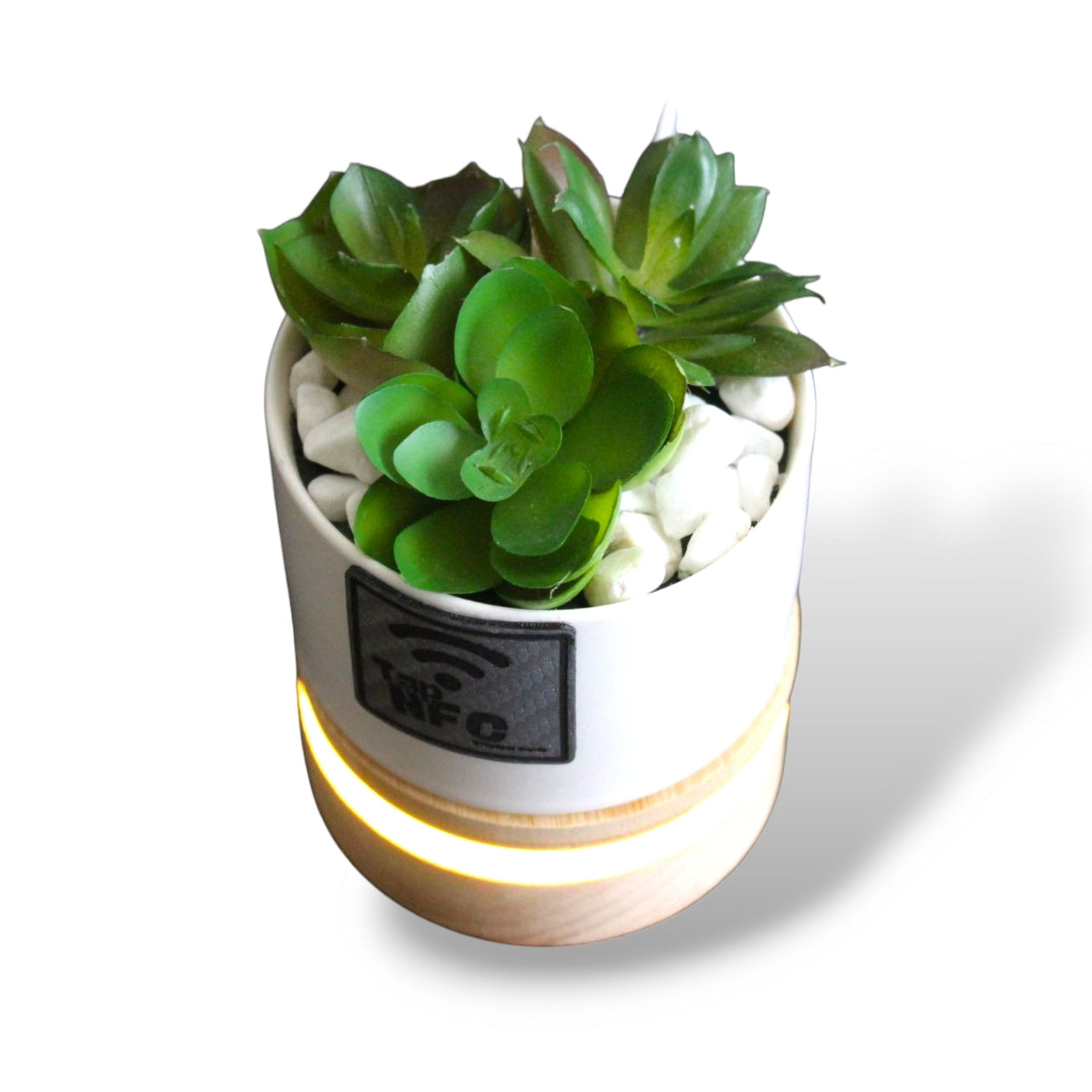 TapSpot Aura – NFC Smart Cactus Stand with USB Glowing Base