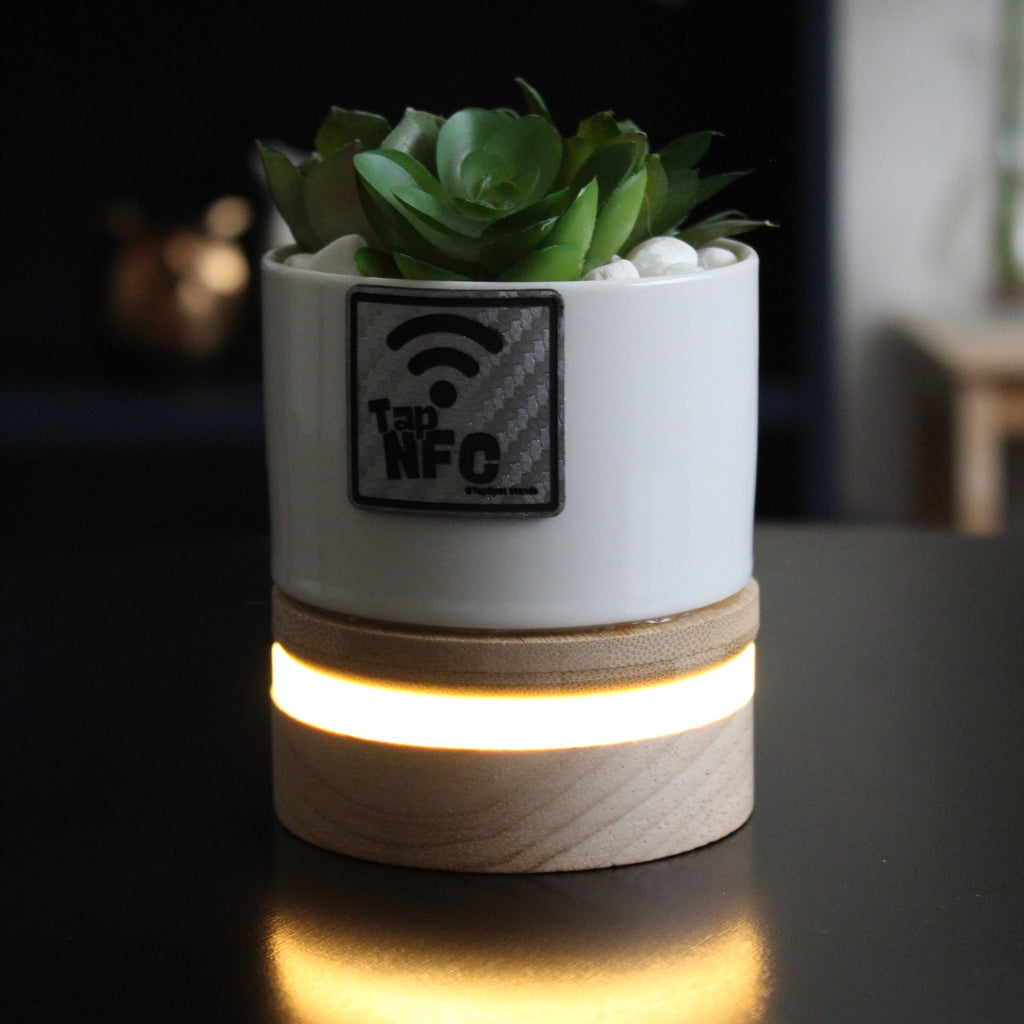 TapSpot Aura – NFC Smart Cactus Stand with USB Glowing Base
